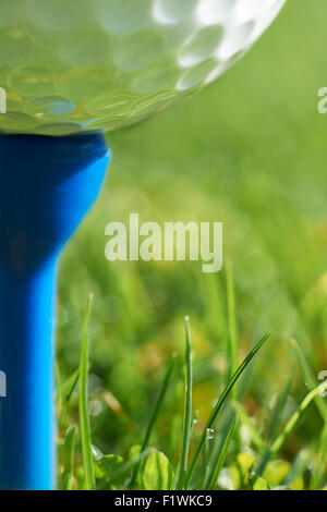 Close-up of golf ball on tee bleu au repos avec l'herbe et de l'espace pour l'exemplaire Banque D'Images