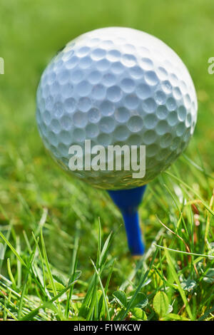 Close-up of golf ball on tee bleu au repos avec l'herbe et de l'espace pour l'exemplaire Banque D'Images