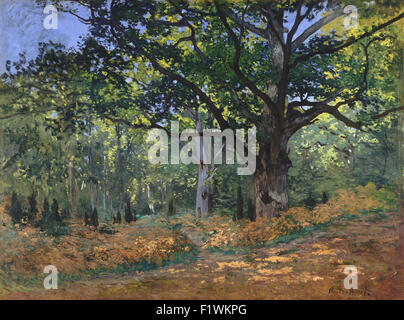Claude Monet - Le Chêne Bodmer, forêt de Fontainebleau Banque D'Images