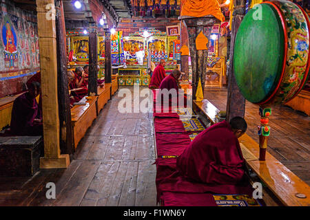 L'Inde Jammu Cachemire dans la prière des moines du Ladakh Banque D'Images