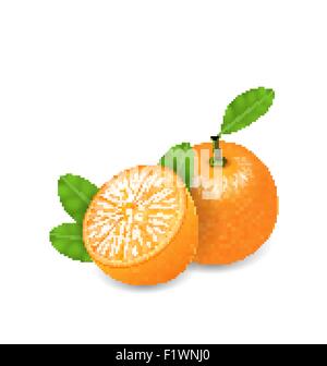 Set photo-réaliste des fruits orange Illustration de Vecteur