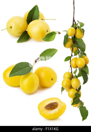 Ensemble de prunes cerise jaune isolé sur fond blanc. Banque D'Images