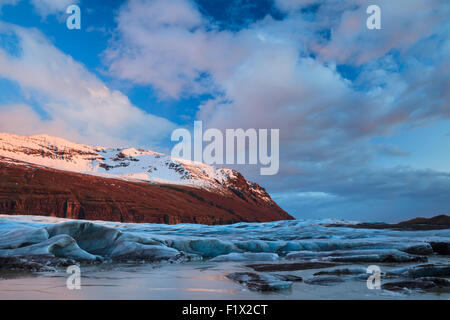 Vue sur glacier Svinafellsjokull au coucher du soleil. Parc national du Vatnajökull. L'Islande. Banque D'Images