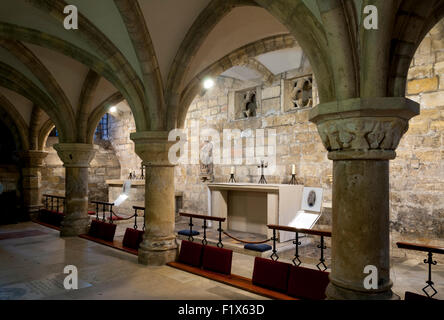 La crypte de la cathédrale de York, ville de York, Yorkshire, Angleterre, Royaume-Uni. Banque D'Images