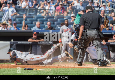 New York, New York, USA. Sep 7, 2015. Catcher des Yankees JOHN RYAN MURPHY tags des orioles' RYAN FLAHERTY à la 2e manche, NY Yankees vs Baltimore Orioles, Yankee Stadium, le lundi 7 septembre 2015. Credit : Bryan Smith/ZUMA/Alamy Fil Live News Banque D'Images