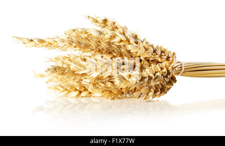 Les épis de blé isolé sur fond blanc. Banque D'Images