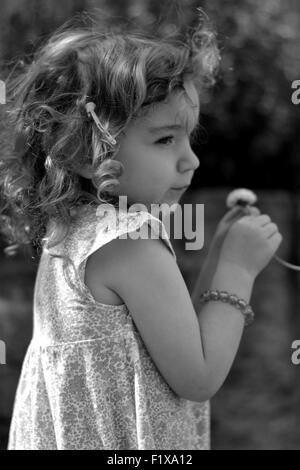 Petite fille avec dandelion clock Banque D'Images