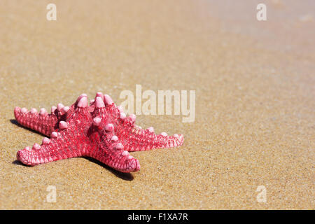 L'étoile rouge sur la plage de sable. Banque D'Images