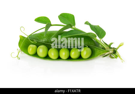 Les pois verts dans le shell sur le fond blanc. Banque D'Images