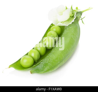 Les pois verts en coquille isolé sur le fond blanc. Banque D'Images