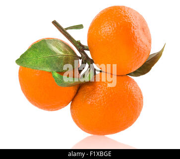 Mandarines mûres avec des feuilles isolées sur fond blanc. Banque D'Images