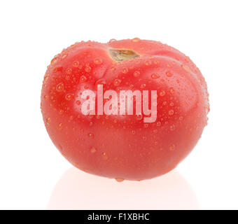 Tomato isolé sur fond blanc Banque D'Images