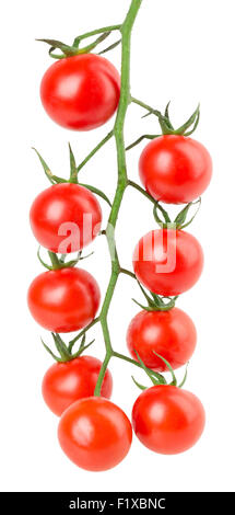 Tomates suspendus sur fond blanc. Banque D'Images