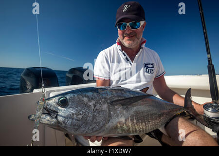 Le thon de l'Atlantique (Thunnus thynnus) Pratiquer la pêche sportive au pays Basque (France). Pêcheur présentant un trophée. Banque D'Images