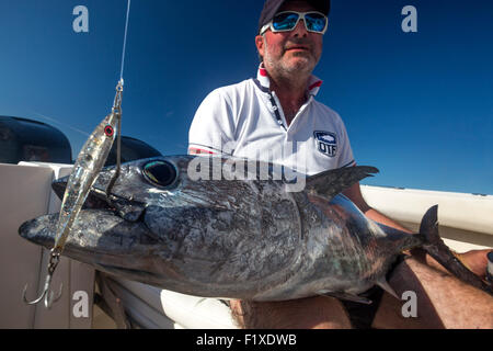 Le thon de l'Atlantique (Thunnus thynnus) Pratiquer la pêche sportive au pays Basque (France). Pêcheur présentant un trophée. Banque D'Images