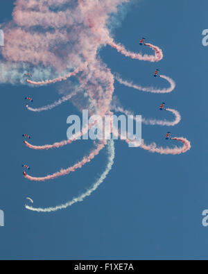 L'équipe de parachutistes des faucons de la RAF au 2015 Shoreham Airshow Banque D'Images