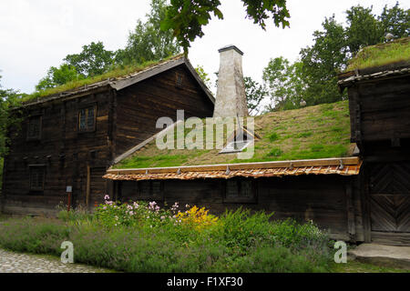 Sur le toit du chaume toit vert sur une maison typiquement scandinave Banque D'Images