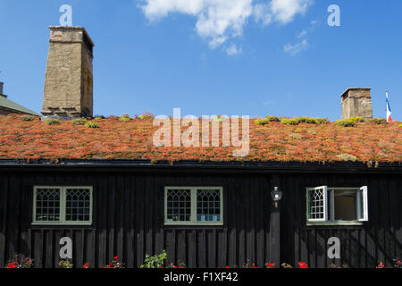 Sur le toit du chaume toit vert sur une maison typiquement scandinave Banque D'Images