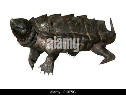 Numérique 3D render of un alligator tortue serpentine isolé sur fond blanc Banque D'Images