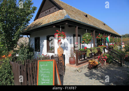 Maison de village traditionnelle Hongrie Hollókő, porche, fleurs, Banque D'Images