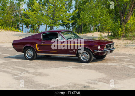 1968 Ford Mustang GT Banque D'Images