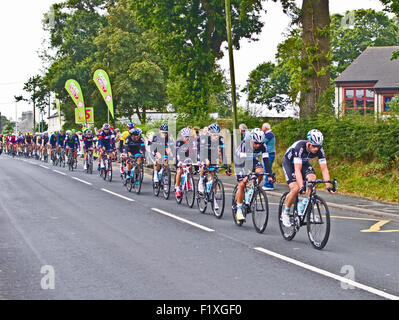 Abbeytown, Cumbria, Royaume-Uni. 8 Septembre, 2015. Dirigé par Etixx délicieuses et de l'équipe Sky, le peloton principal en cycles le village de Abbeytown sur l'étape 3 du Tour de Bretagne, 2015. Credit : Julie friteuse/Alamy Live News Banque D'Images