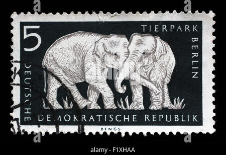 Timbres en RDA montre l'éléphant, le Jardin zoologique de Berlin, l'allemand, vers 1956 Banque D'Images