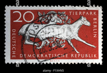Timbres en RDA montre 10e anniversaire du zoo de Berlin, vers 1965 Banque D'Images