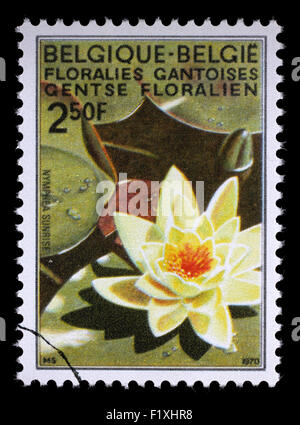 Timbres en Belgique du Ghent Flower Show question montre Water Lily, vers 1970. Banque D'Images