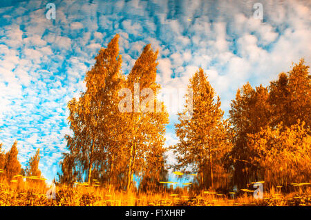 Autunm arbres se reflétant dans l'eau Banque D'Images