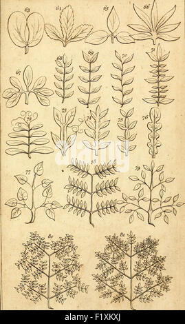 Les éléments de botanique ... Étant une traduction de la Philosophia botanica, et d'autres traités de la célèbre Linné, à wh Banque D'Images
