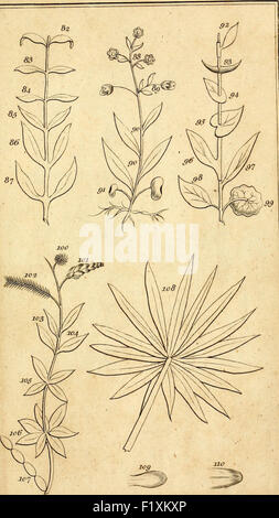 Les éléments de botanique ... Étant une traduction de la Philosophia botanica, et d'autres traités de la célèbre Linné, à wh Banque D'Images