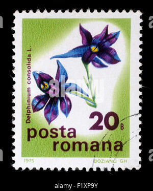 Timbres en Roumanie montre ou Larkspur Delphinium, série, circa 1975 Banque D'Images