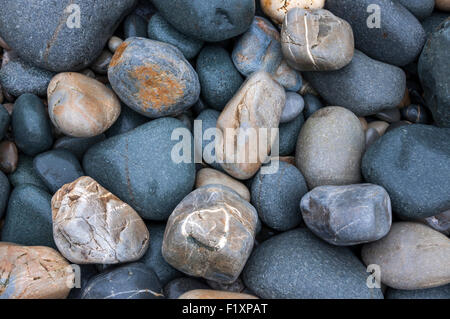 Résumé de naturel détails sur Abermawr beach à Pembrokeshire, Pays de Galles. Banque D'Images