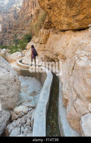 Sultanat d'Oman, gouvernorat de Ash Sharqiyah, Wadi ash Shab falaj, système d'irrigation ou Banque D'Images