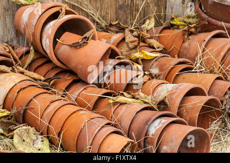 Style de vie encore le jardin arrangement. Vieux pots de fleurs en terre cuite. Banque D'Images