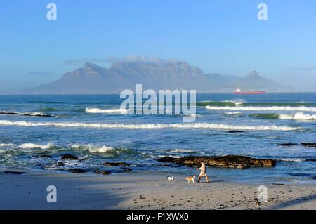 L'Afrique du Sud, Western Cape, Cape Town, Table Mountain, vue de Bloubergstrand Banque D'Images