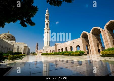 Oman, Muscat, Grande Mosquée Sultan Qaboos, jardins Banque D'Images