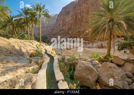 Oman, Wadi Shab, falaj, ou canal d'irrigation Banque D'Images