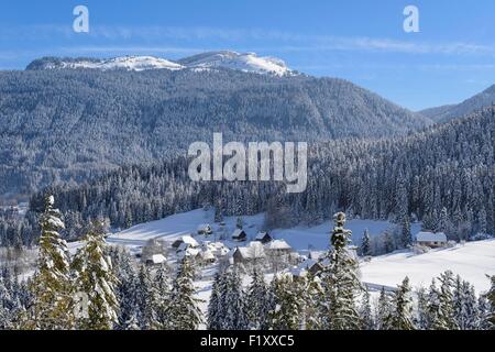 France, Isère, Parc Naturel Régional de la Chartreuse (parc naturel régional de Chartreuse), village de Cherlieu Banque D'Images