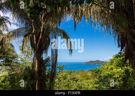 Costa Rica, province de Puntarenas, Parc National Manuel Antonio Banque D'Images