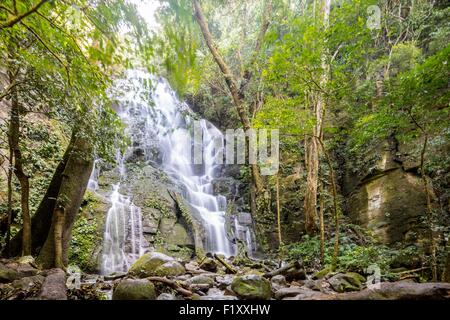 Costa Rica, province de Guanacaste, Parc National de Rincon de la Vieja Banque D'Images