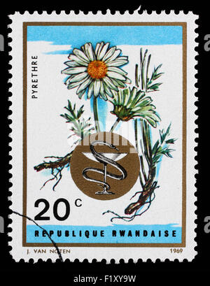 Timbres en Rwanda montre camomille, plantes médicales series, vers 1969. Banque D'Images