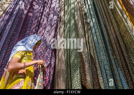 L'Inde, Rajasthan, Sanganer, usine de textile, collection de textiles à sec Banque D'Images