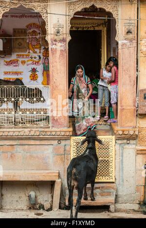 L'Inde, Rajasthan, Jaisalmer, scène de rue Banque D'Images