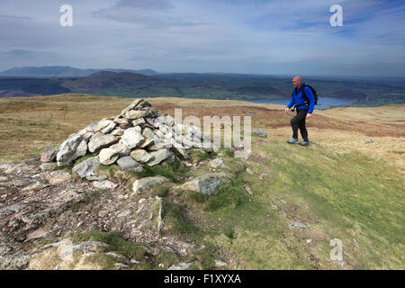 Walker au sommet du Cairn Arthurs Pike, Parc National de Lake district, comté de Cumbria, Angleterre, Royaume-Uni Banque D'Images