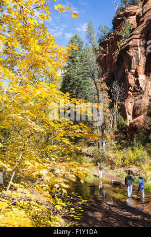 Randonneurs sur le sentier dans la région de West Fork de Oak Creek en automne Banque D'Images