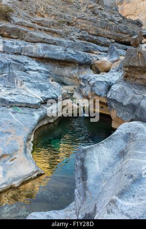 Sultanat d'Oman, gouvernorat d'Ad Dhahirah, Wadi Damm piscines naturelles Banque D'Images