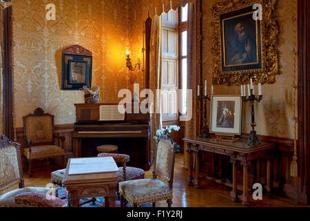 France, Loir et Cher, vallée de la Loire classée au Patrimoine Mondial de l'UNESCO, Chaumont sur Loire, le château, la principale salle de dessin Banque D'Images