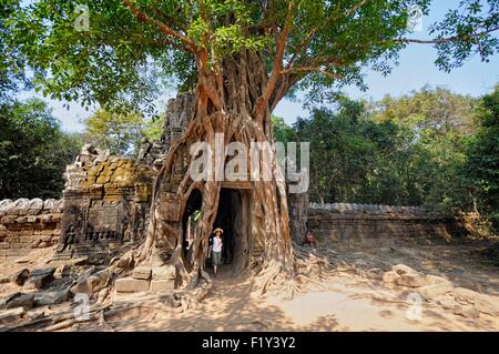 Le Cambodge, la province de Siem Reap, Angkor classé au Patrimoine Mondial par l'UNESCO, giant strangler fig tree roots embrasser la porte de Ta Som temple Banque D'Images